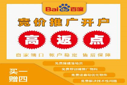 某电商平台的SEM广告投放全流程解析